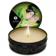 SHUNGA – Zöld tea illatú masszázsgyertya, 30 ml