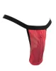 AMORABLE – Férfi áttetsző tanga cipzárral, piros, egy méret