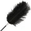 DARKNESS – Kétoldalas lovaglóostor tollas végződéssel, fekete, 56 cm